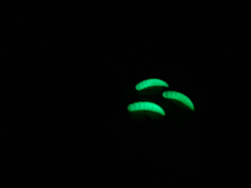 Deluxe Worm Glow in the Dark schwimmend