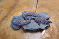 Deluxe Worm sinkend